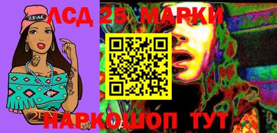 гашик Кандалакша