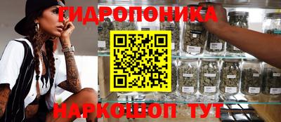 гашик Кандалакша